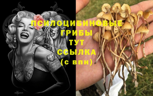 гашишное масло Алексеевка