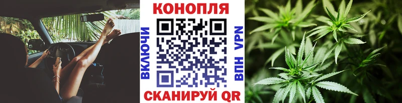 Марихуана White Widow как найти закладки Петрозаводск